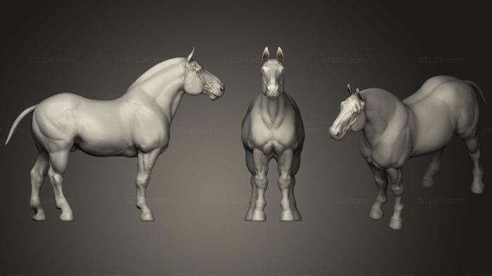 Статуэтки животных (Тягловая лошадь 2, STKJ_0903) 3D модель для ЧПУ станка